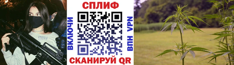 МАРИХУАНА Amnesia  Саянск 